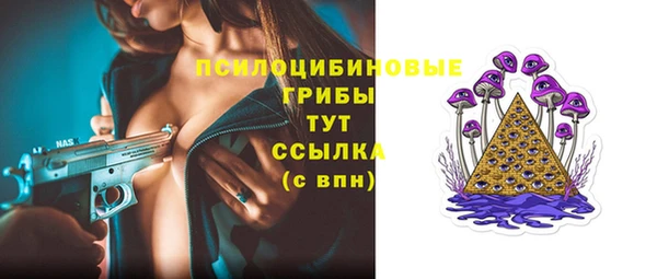 Альфа ПВП Алзамай
