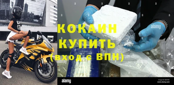индика Алексеевка