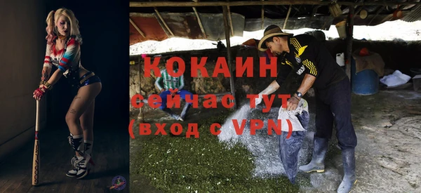 амф Алексин