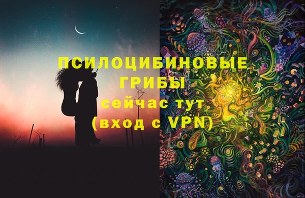 индика Алексеевка